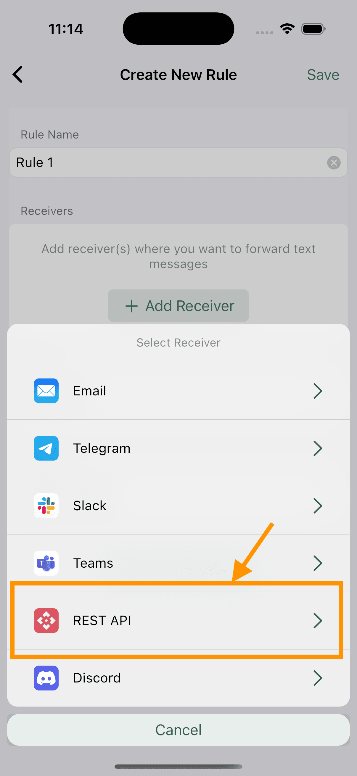 Select REST API Option